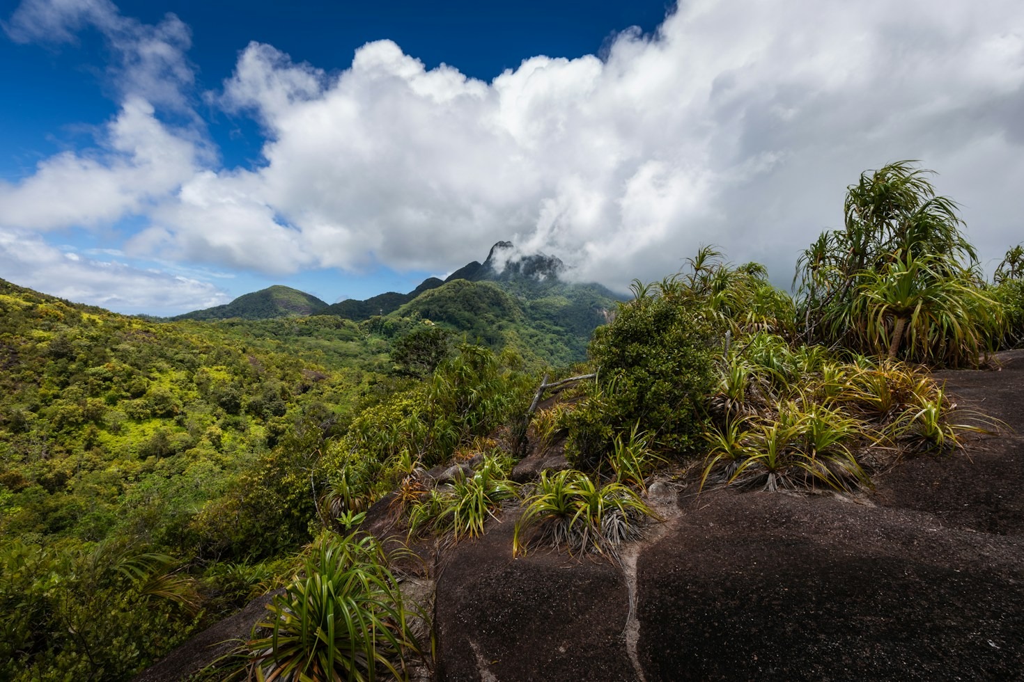 From Basecamp to Sunrise: Capturing Stunning Wilderness Photography